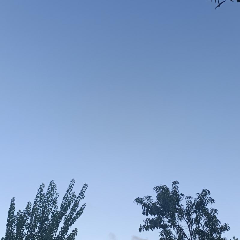 Fotosegnalazione di Roma torrenova