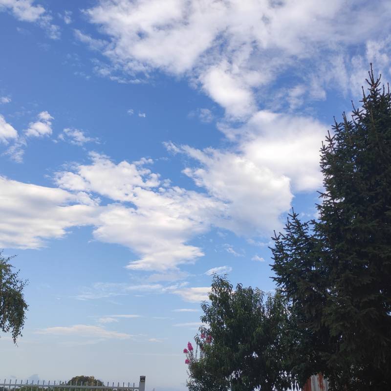 Fotosegnalazione di Roseto degli abruzzi