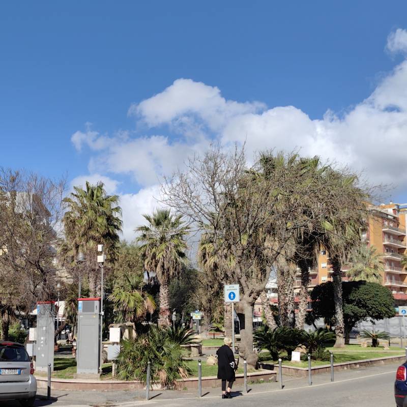 Ladispoli sole