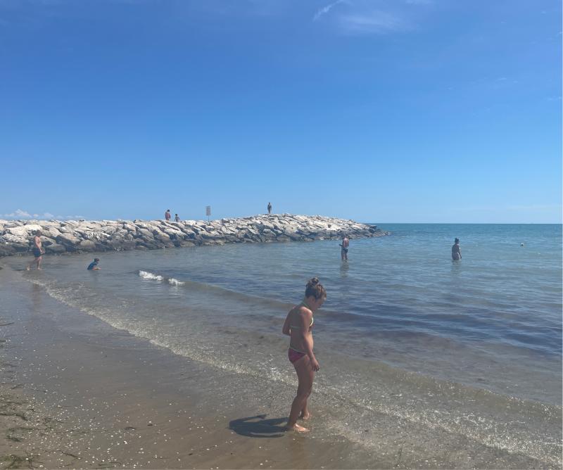 Fotosegnalazione di Cavallino treporti