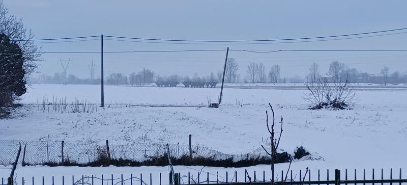 Inverno a mandrino