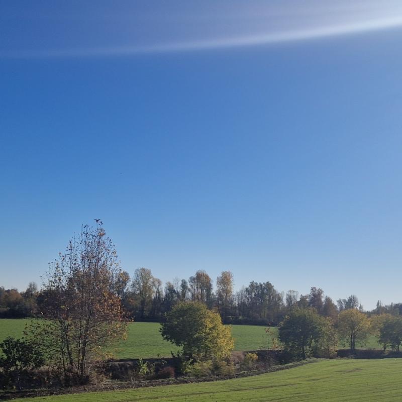 Fotosegnalazione di Cividate al piano