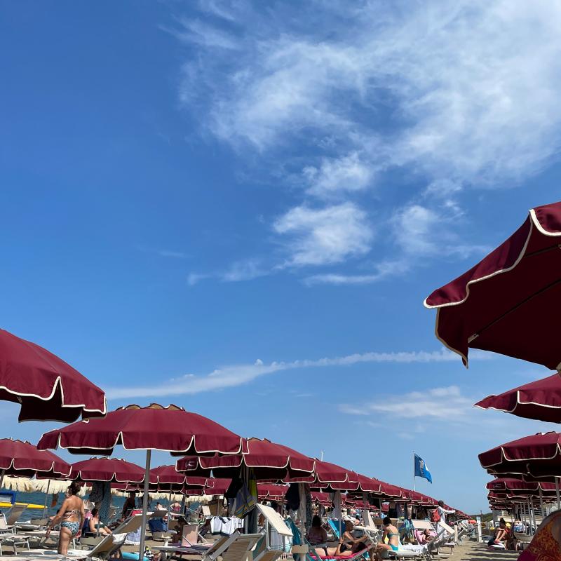 Fotosegnalazione di San vincenzo