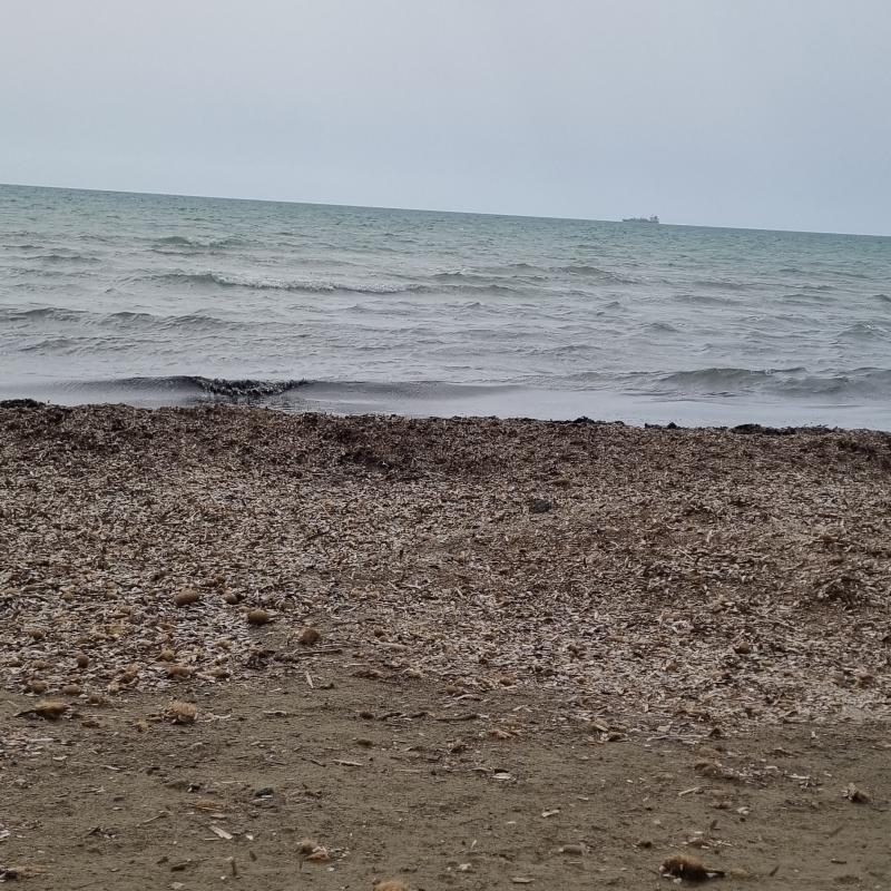 foto-meteo-fotosegnalazione-di-rosignano-marittimo-3b-meteo