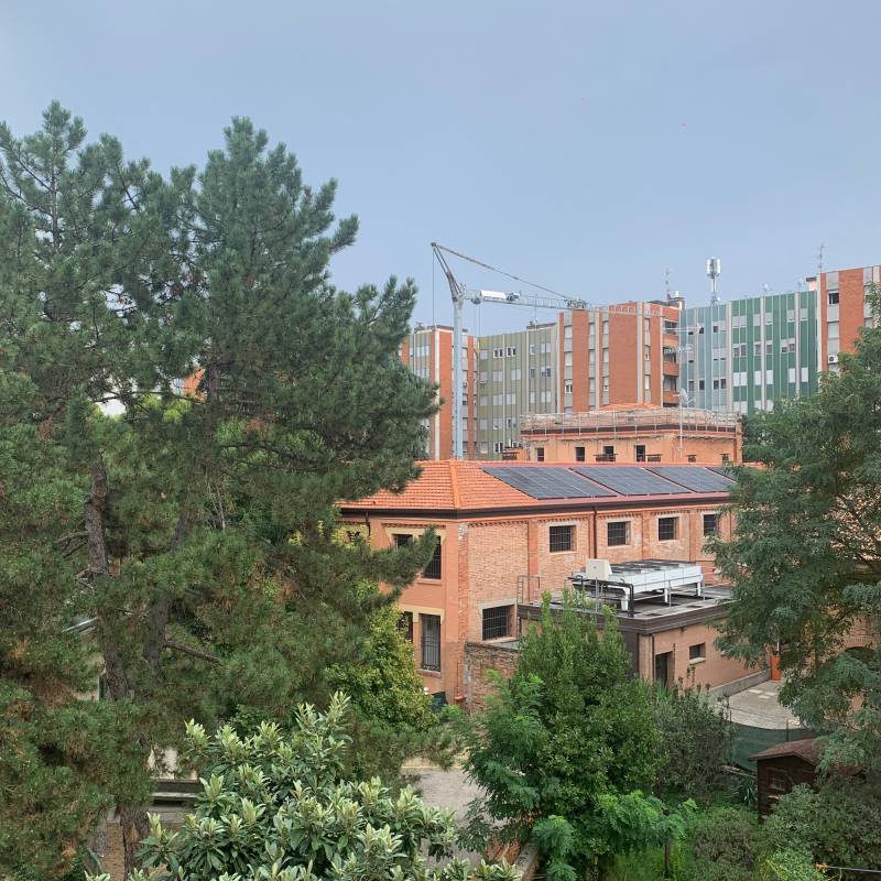 Fotosegnalazione di Bologna porto