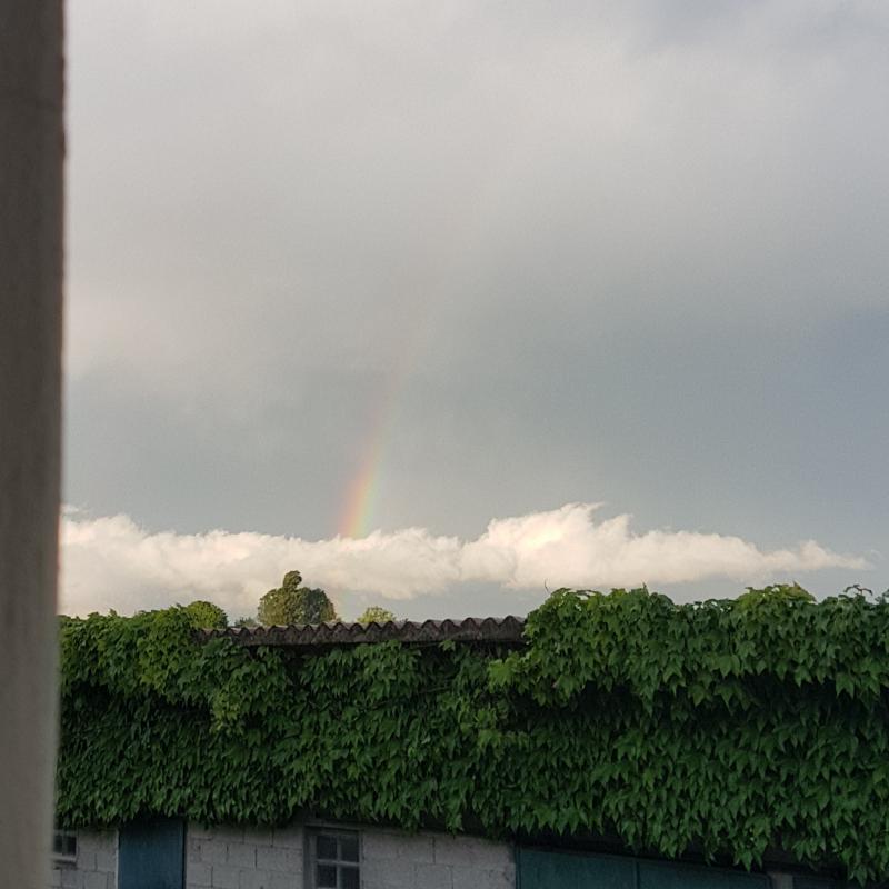 Fotosegnalazione di San dona' di piave