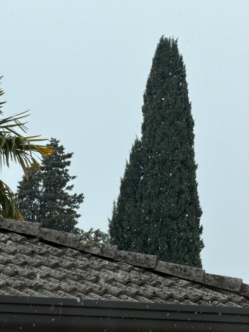 Fotosegnalazione di Preganziol