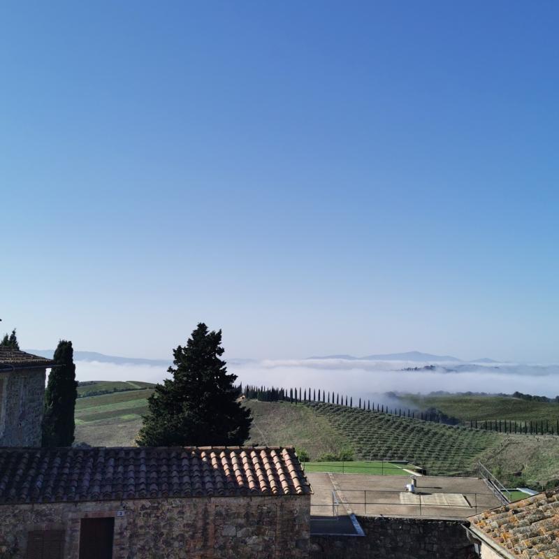 Camigliano - Montalcino