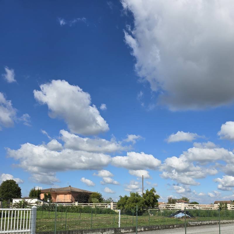 Fotosegnalazione di Fiesse