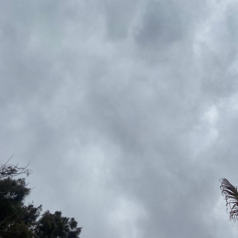 Fotosegnalazione di Costa adeje