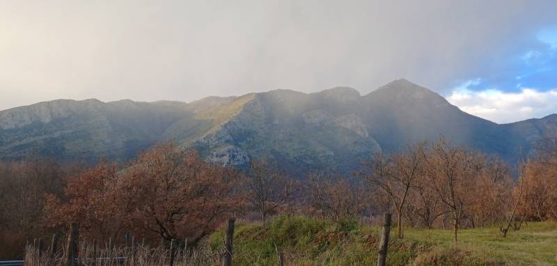 nevischio con il sole