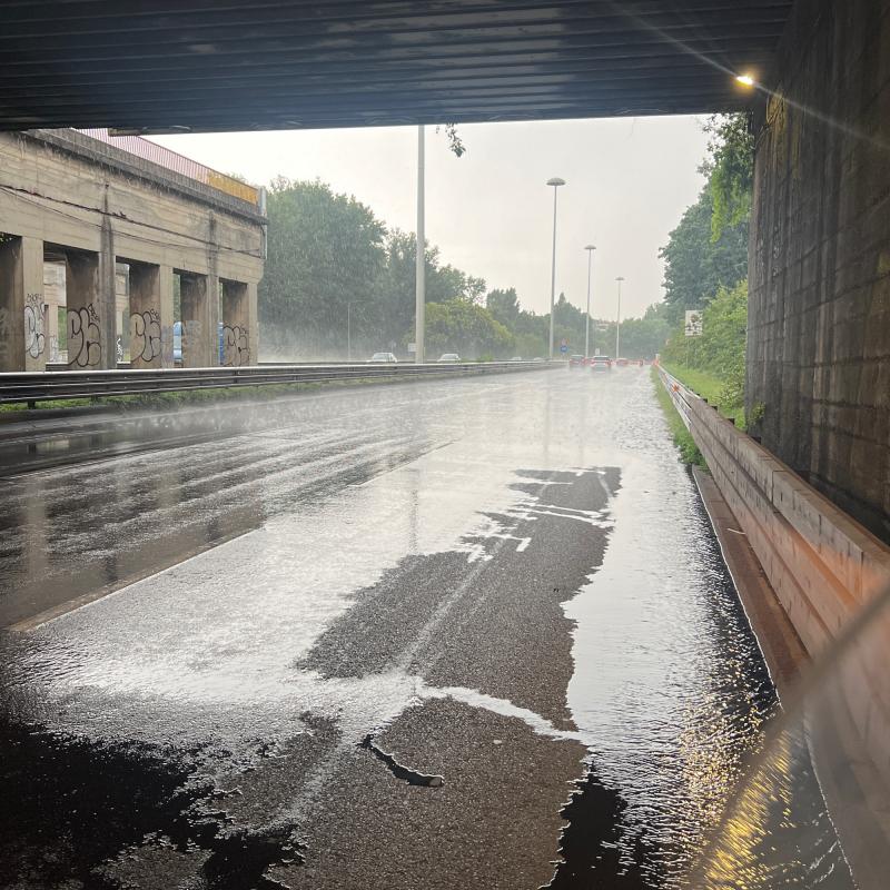 Fotosegnalazione di Milano dergano