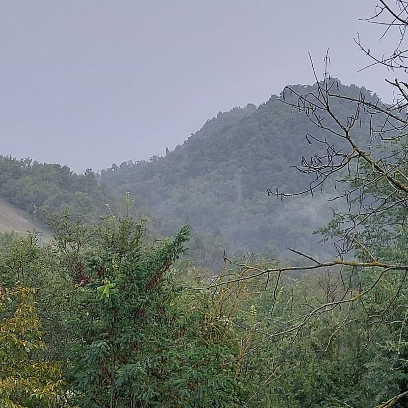 Fotosegnalazione di Casina