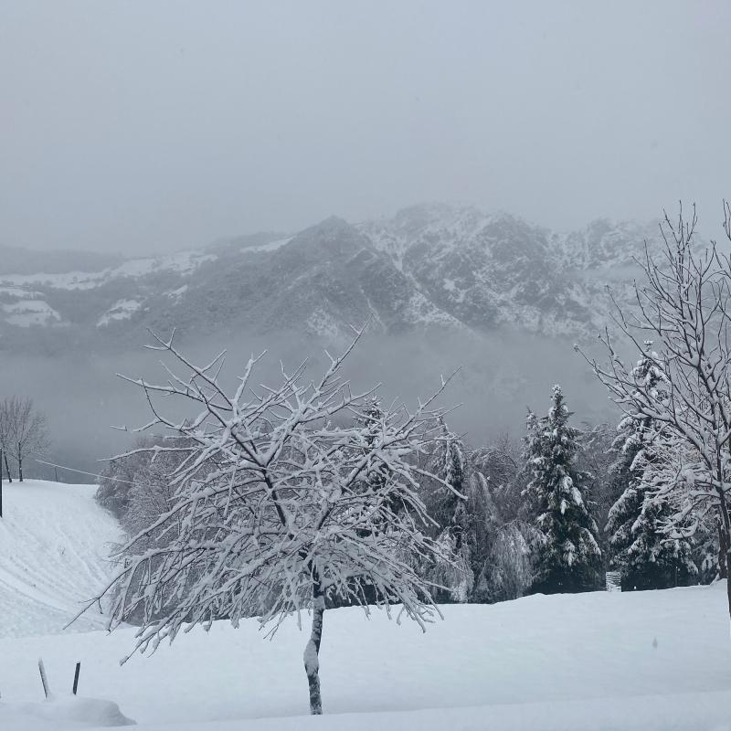 Fotosegnalazione di Casnigo