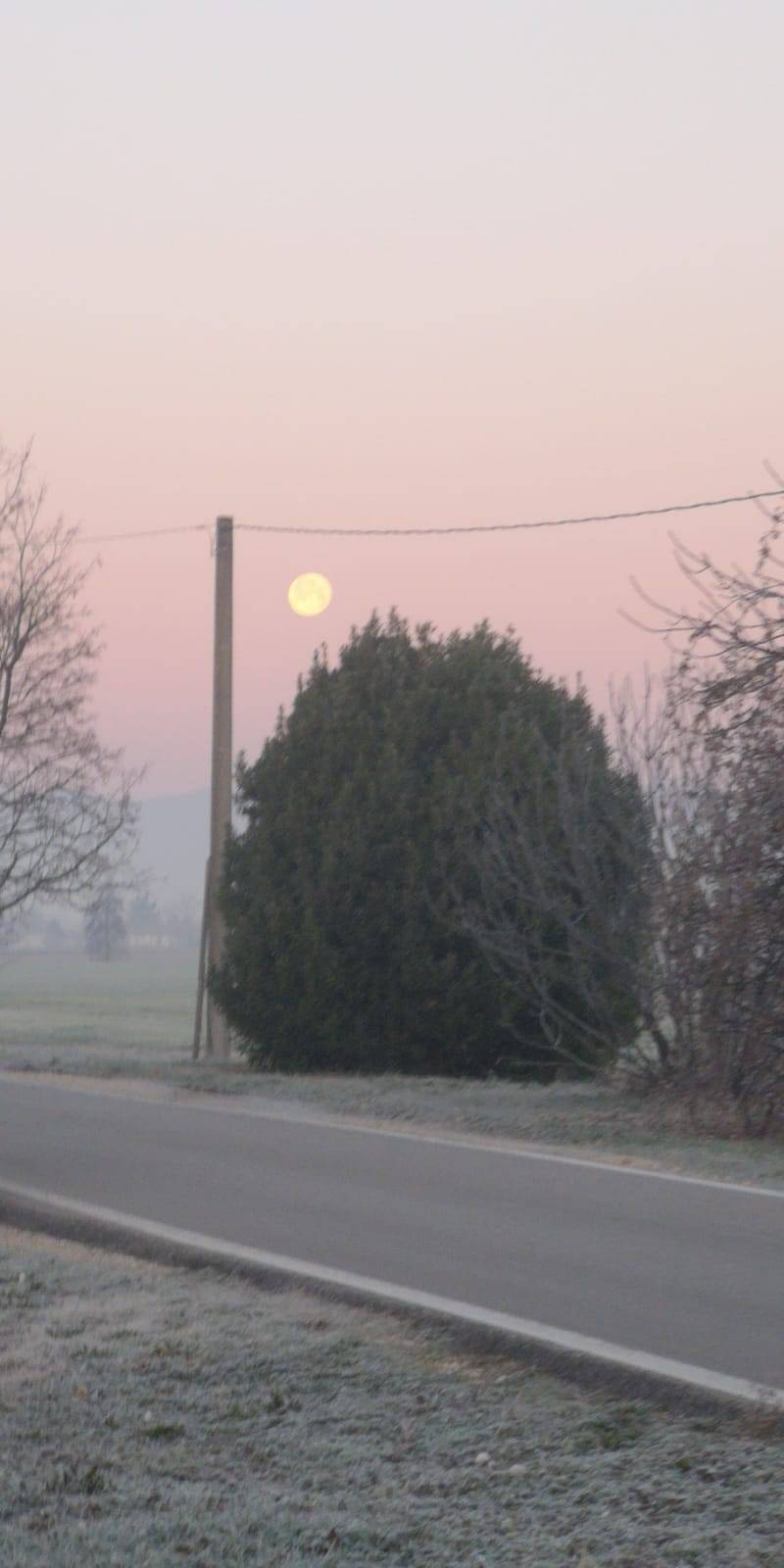 La luna del lupo all'alba del giorno dopo. Lutrano Veneto Orientale. 11012020.