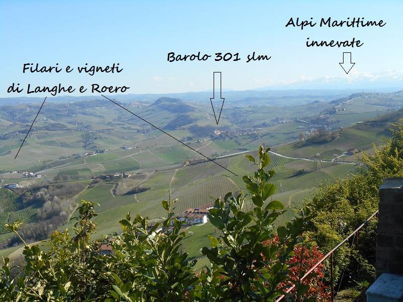 Le Langhe, Barolo e le Alpi Marittime viste dal belvedere di La Morra