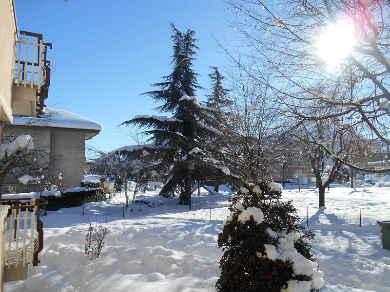 Il giorno dopo la grande nevicata su Borgo come brilla la neve al sole