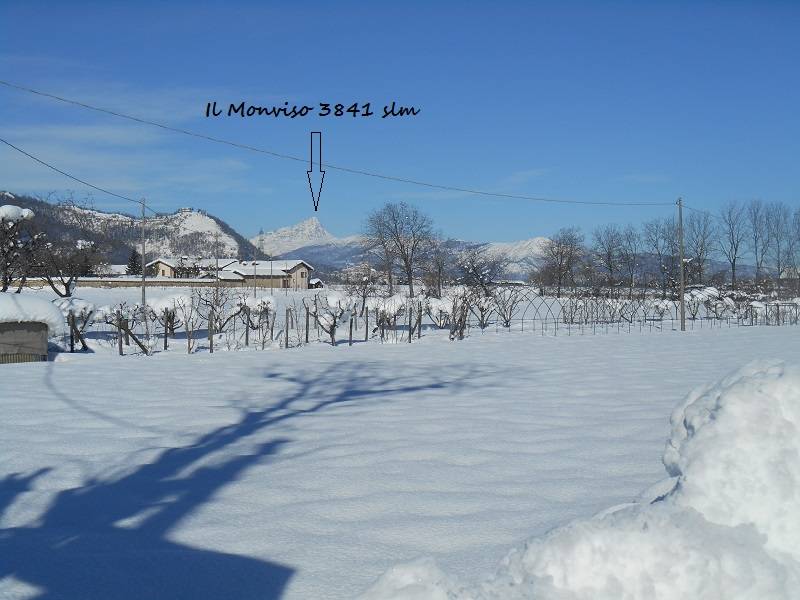 Campagne innevate di Borgo dopo the big snow sullo sfondo il Monviso