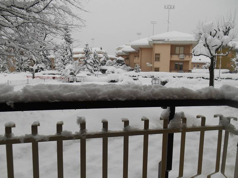Dal balcone del mio terrazzino il giardino sommerso dalla neve 6 febbraio 2015
