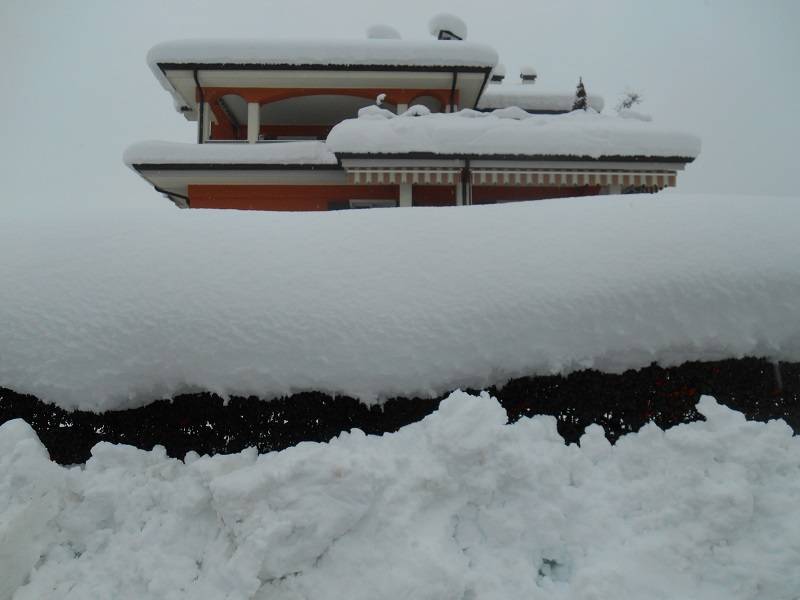 Villa e siepe sommersa dalla neve