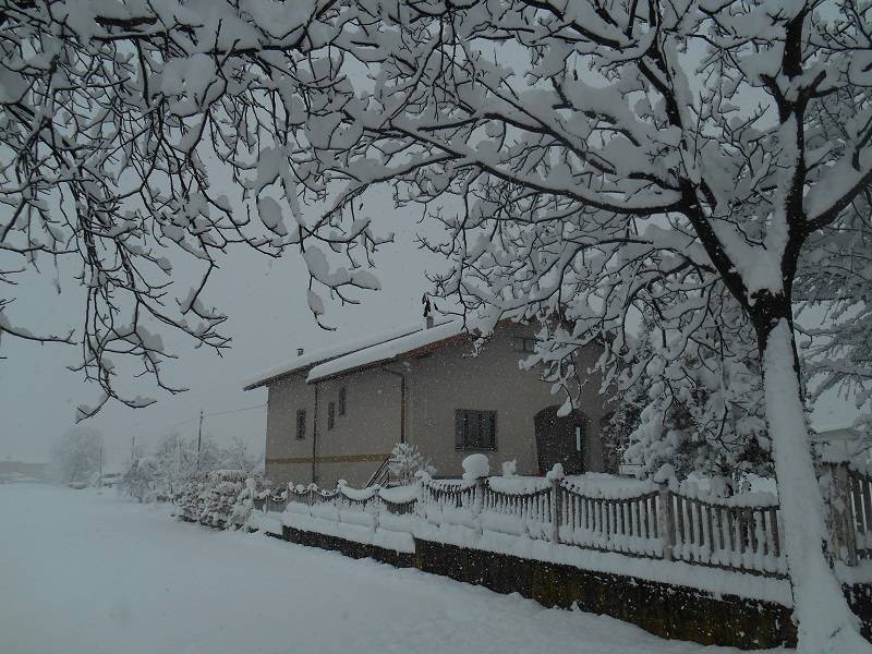 Coreografici disegni delle neve sulla vegetazione e sulle cascine nelle campagne di Borgo San Dalmazzo