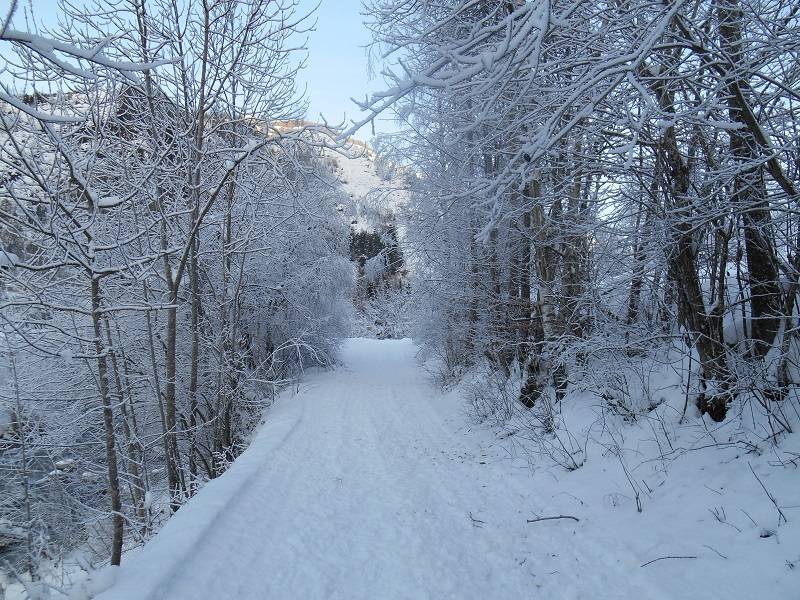 Passeggiata nei boschi d'inverno Prazzo Valle Maira