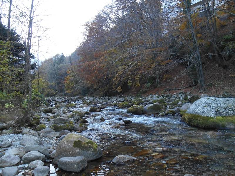 Colori d'autunno sulle acque in Valle Pesio