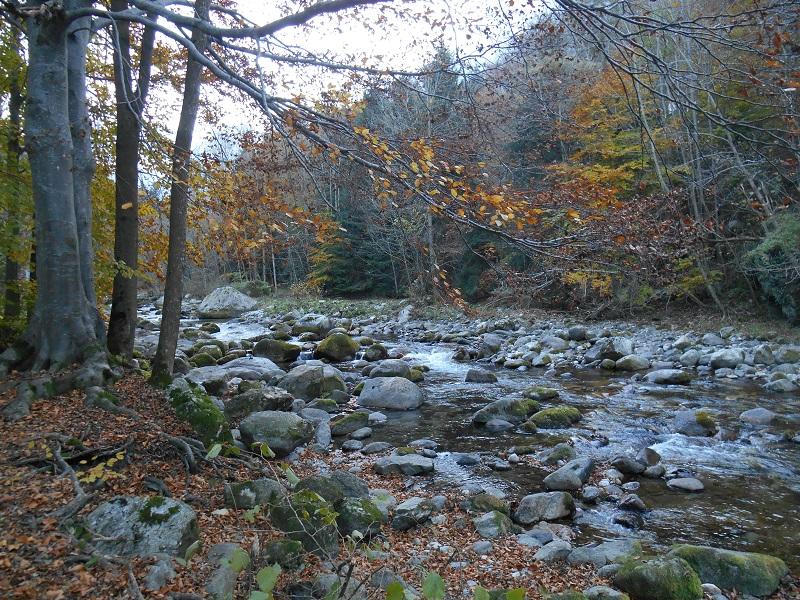 Boschi d'autunno in Valle Pesio