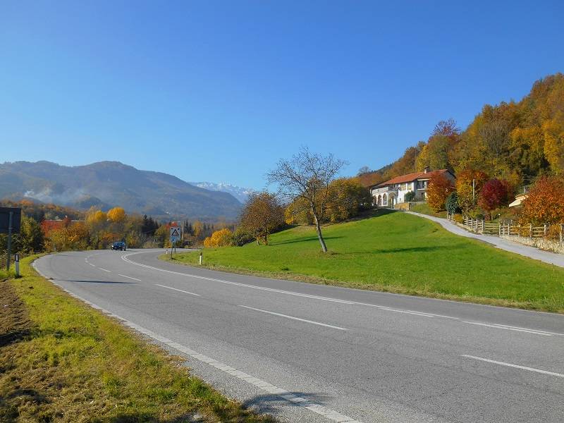 Strada verso Borgo San Dalmazzo immersa nei colori d'autunno