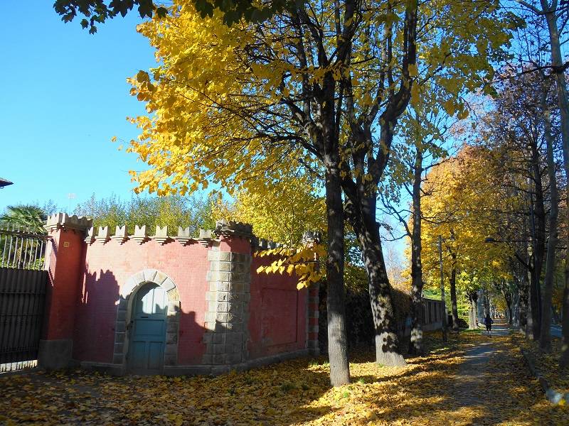 I colori d'autunno nel Viale Angeli di Cuneo