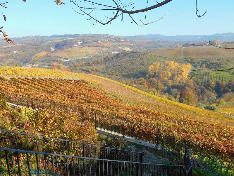 Le Langhe in autunno