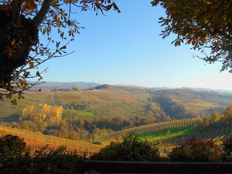 Splendido scorcio panoramico dal belvedere di Serralunga D'Alba sulle Langhe dipinte in autunno