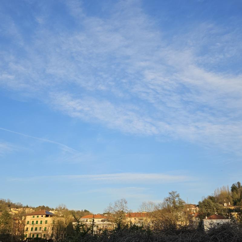 Fotosegnalazione di Torino san salvario