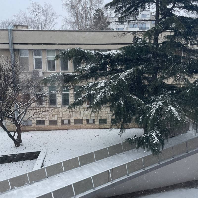 Fotosegnalazione di Pleven
