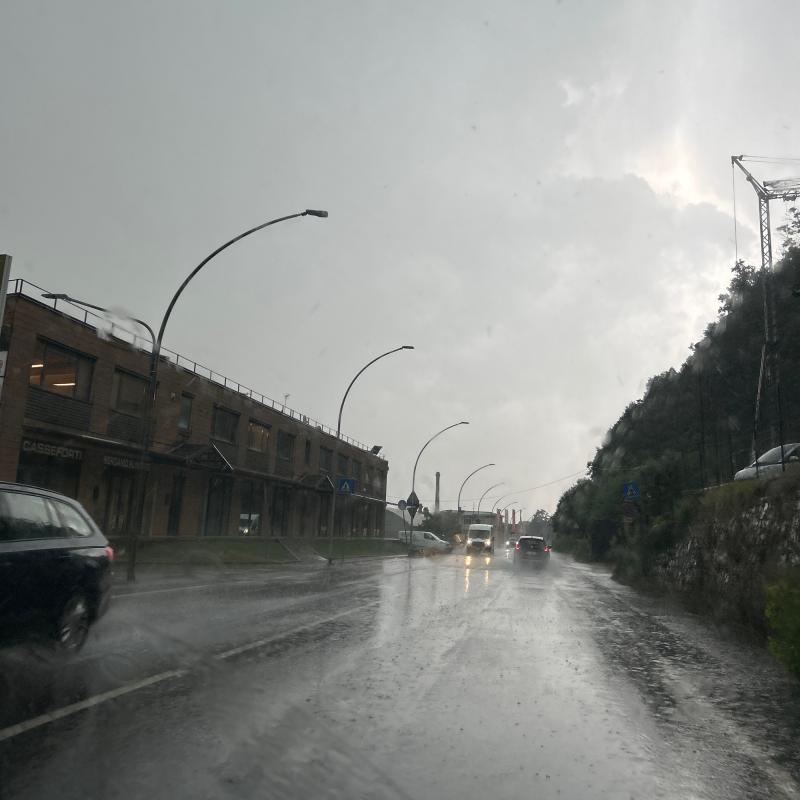 Fotosegnalazione di Albino