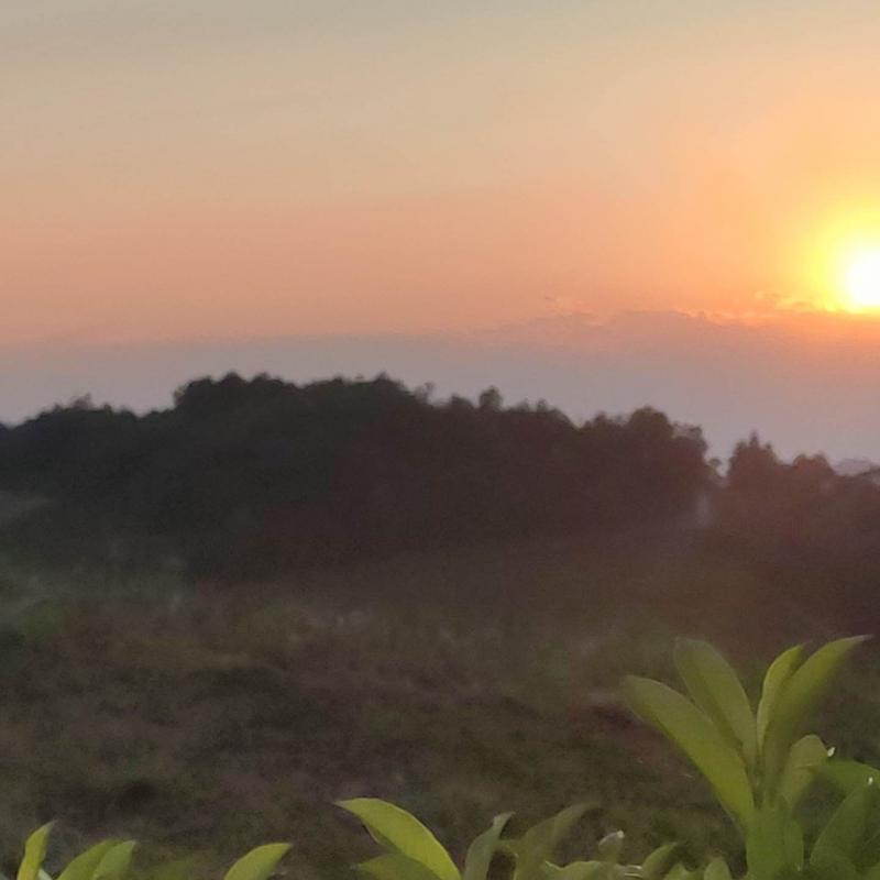 Fotosegnalazione di Cassinasco