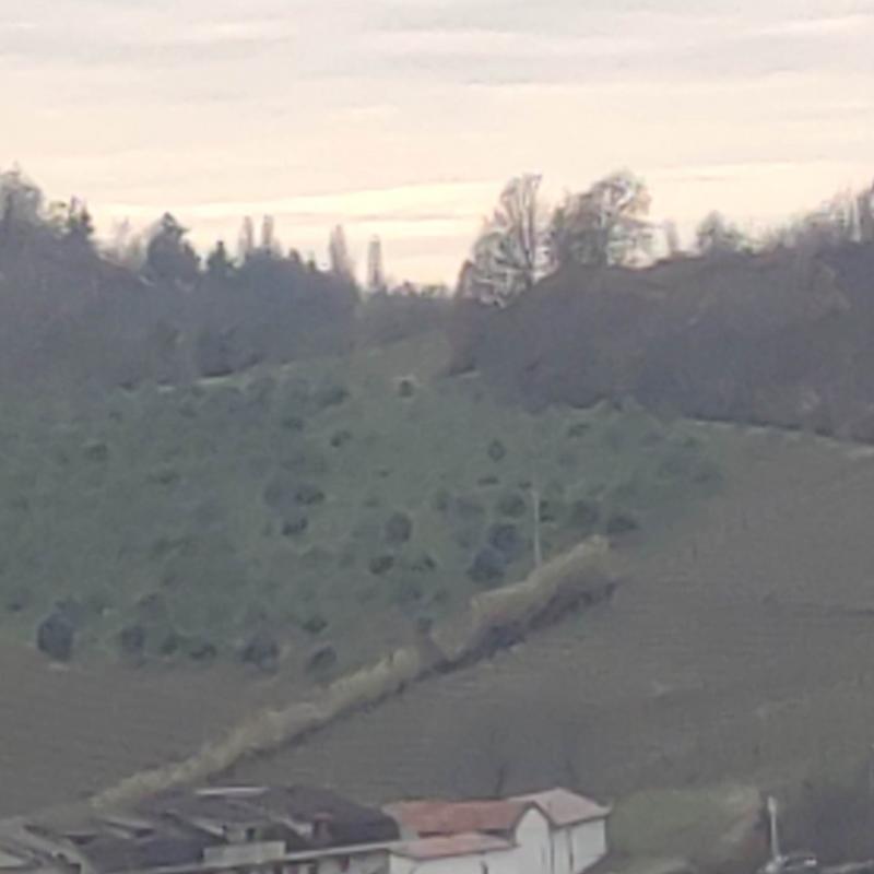 Fotosegnalazione di Cassinasco