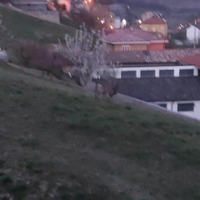 Fotosegnalazione di Cassinasco