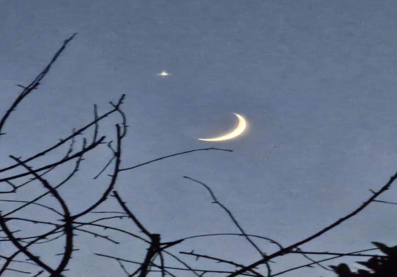 venere e falce di luna