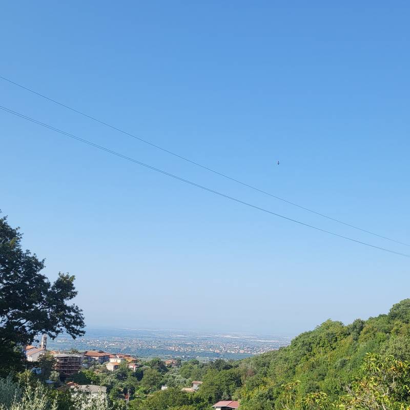 Fotosegnalazione di Campagna