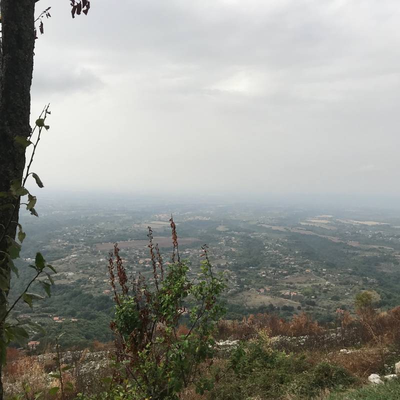 Fotosegnalazione di Castel san pietro romano