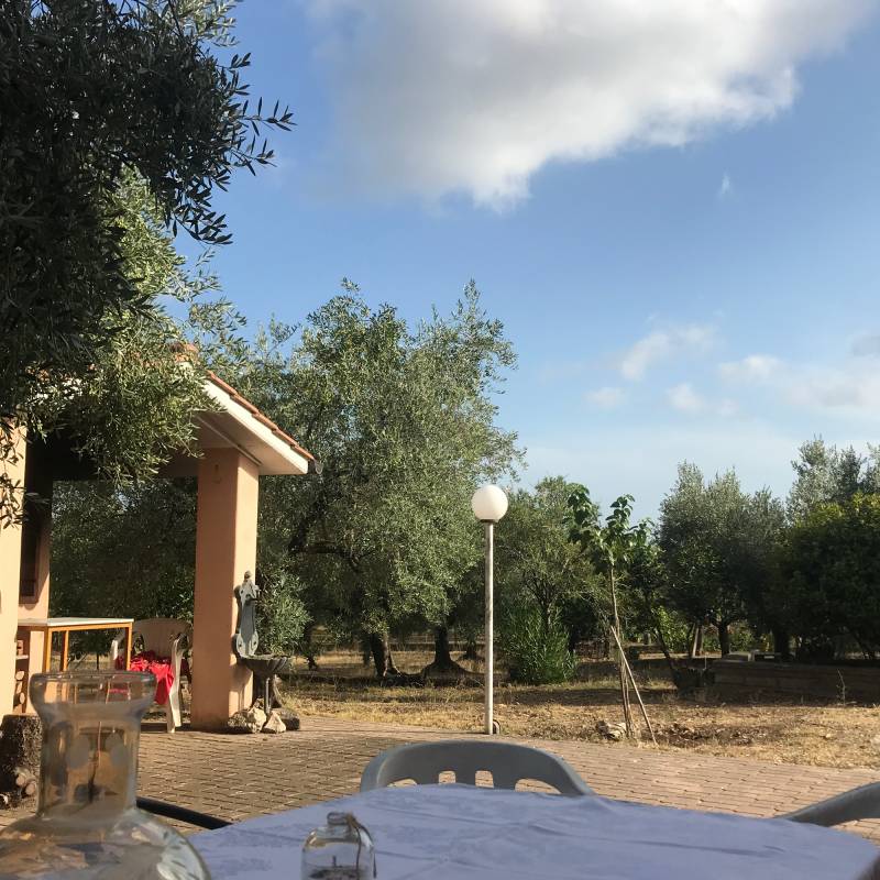 Fotosegnalazione di Velletri