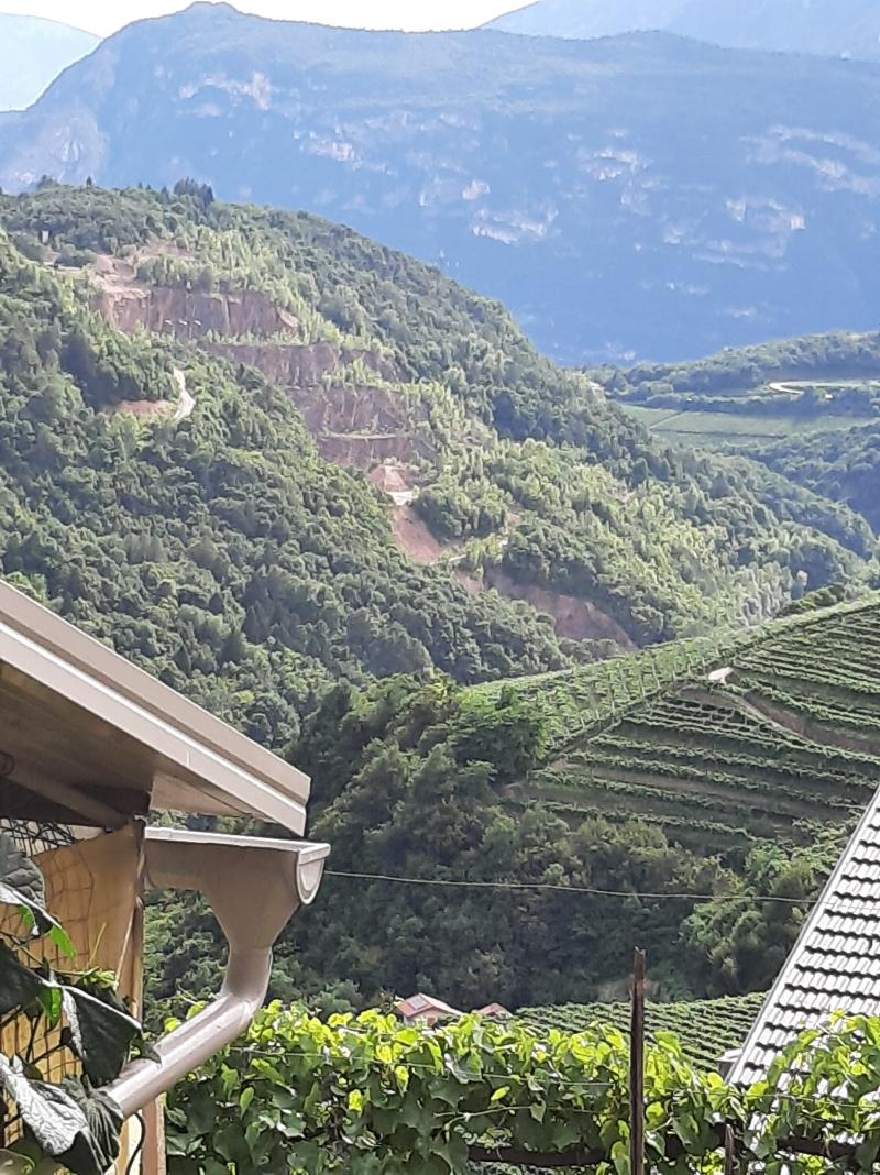 il verde cembrano