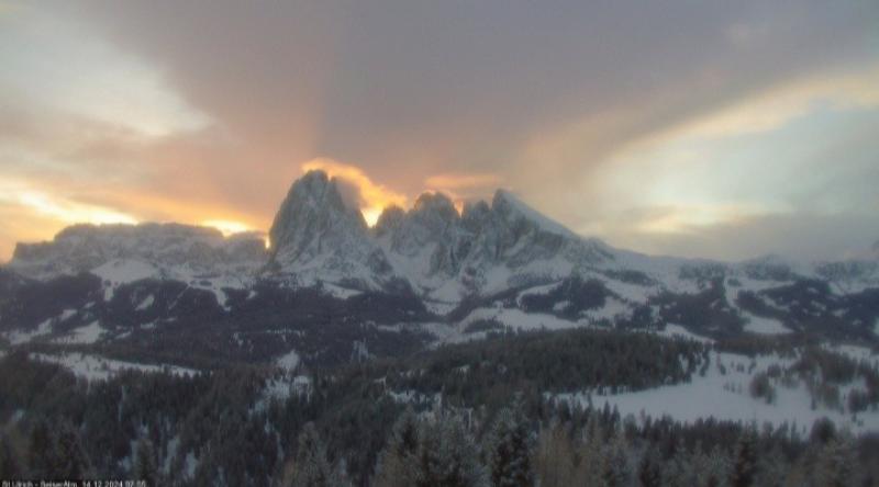 alba