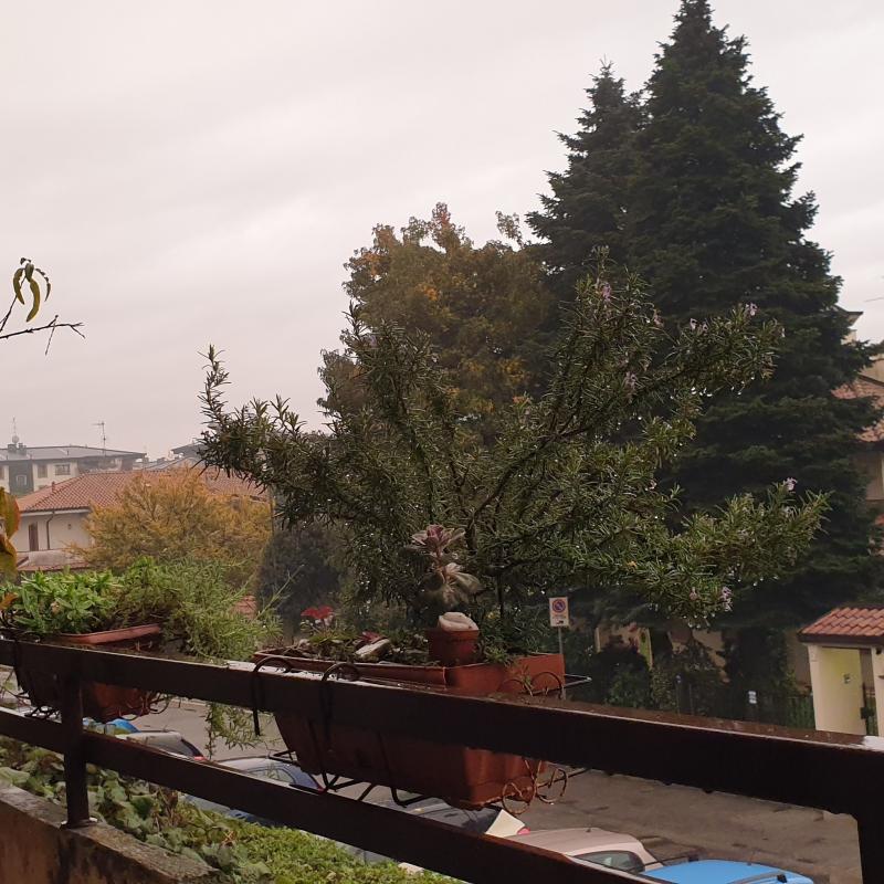 Luci strane a biasono