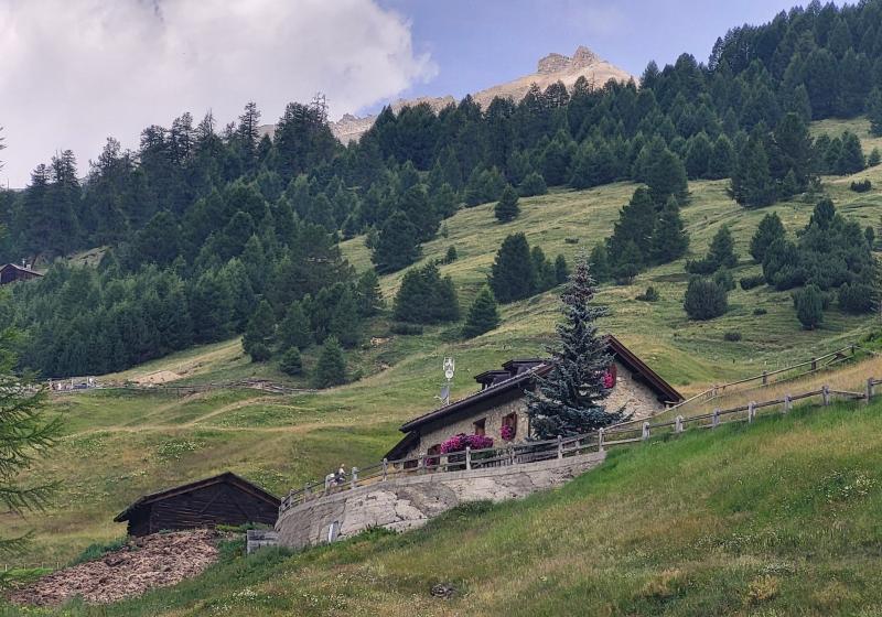 val federia