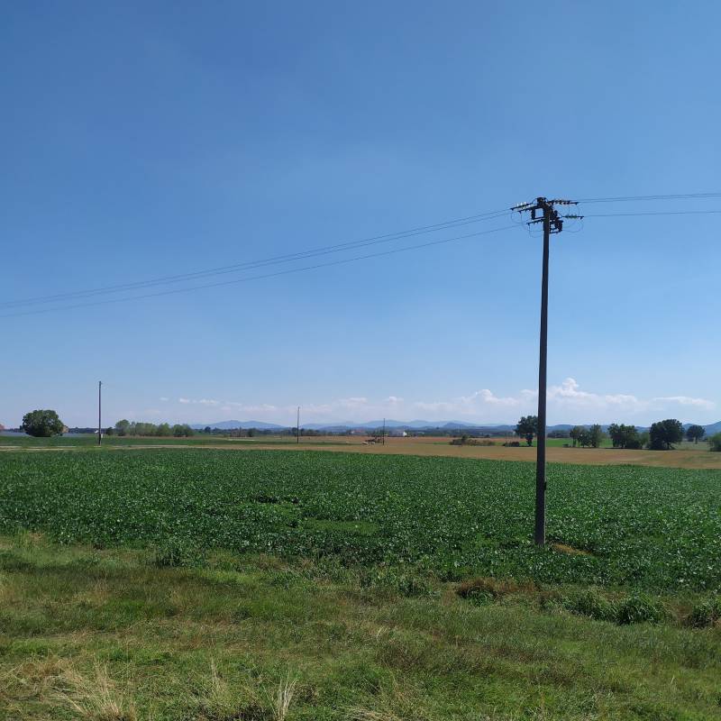 Fotosegnalazione di Fidenza