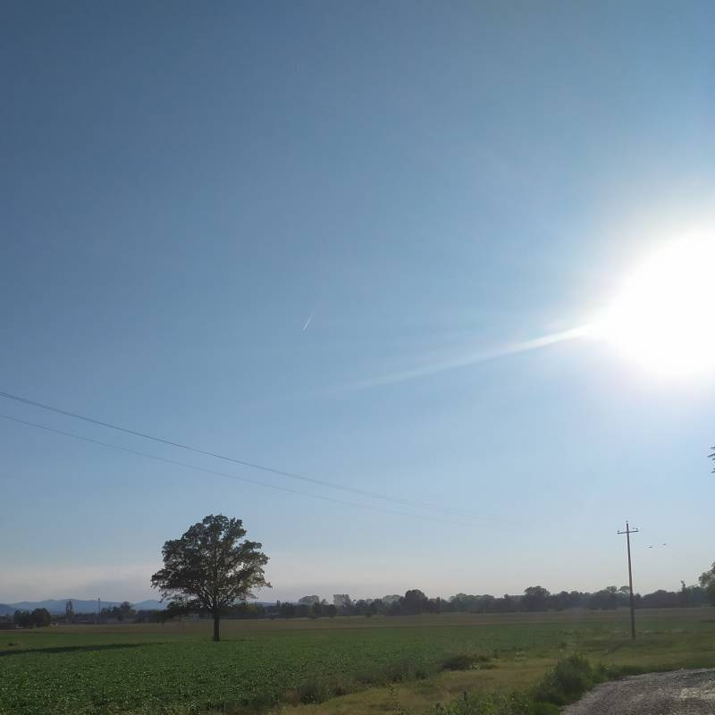 Fotosegnalazione di Fidenza