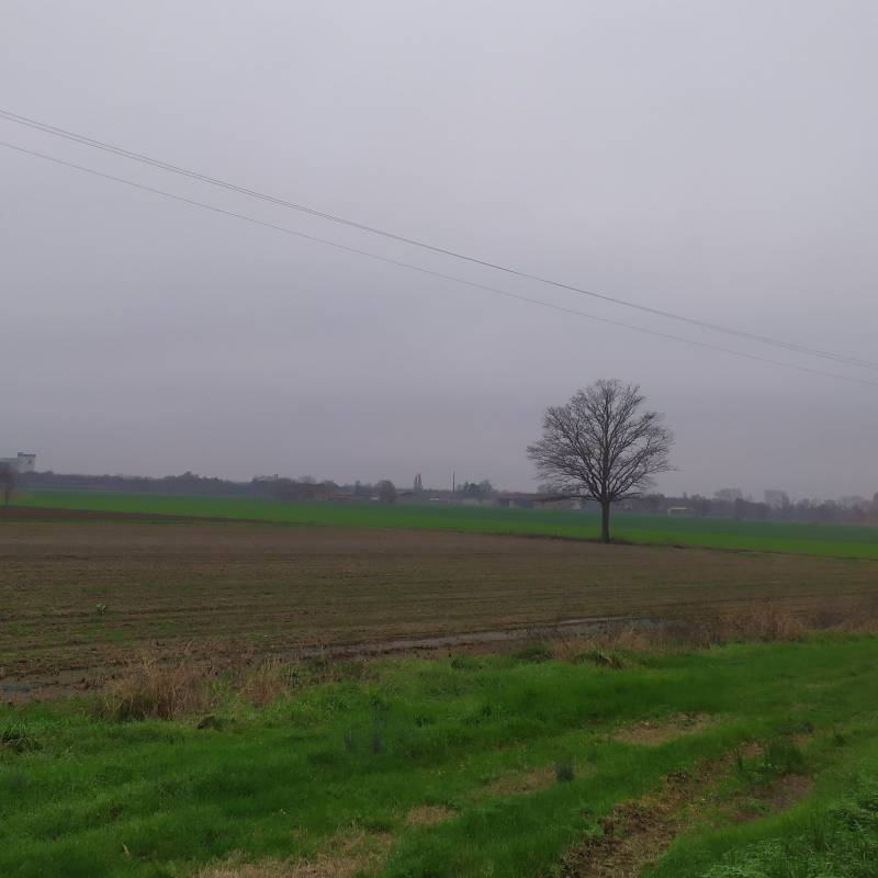 Fotosegnalazione di Fidenza