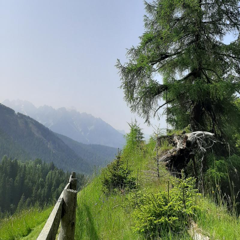 Gandelle Dobbiaco